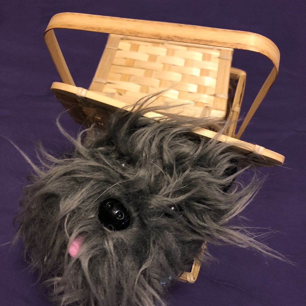 Wizard Of Oz Dorothy Costume With Toto & Basket Gem